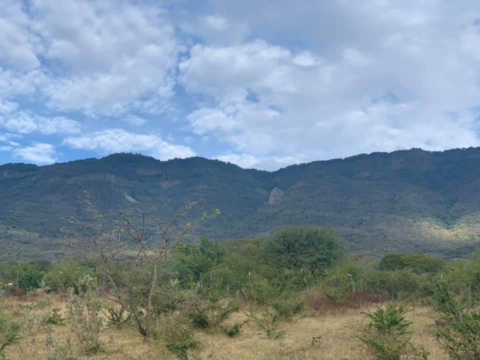 Paisaje natural del municipio de Amacueca
